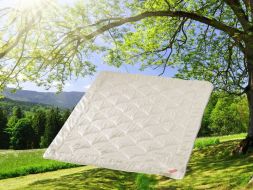 Одеяло шелковое, очень легкое Джаспис Роял Hefel Textil, Австрия, 155 200